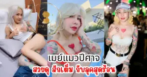 เมย์แมวปีศาจ vk